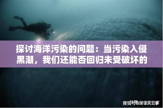 探讨海洋污染的问题：当污染入侵黑潮，我们还能否回归未受破坏的大海？