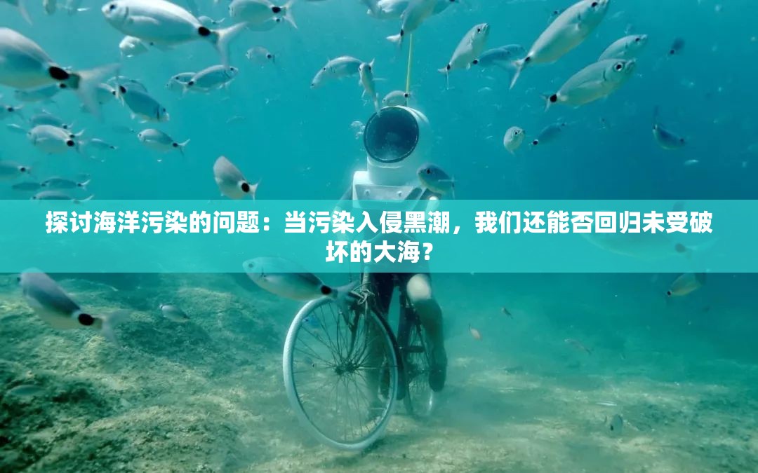 探讨海洋污染的问题：当污染入侵黑潮，我们还能否回归未受破坏的大海？