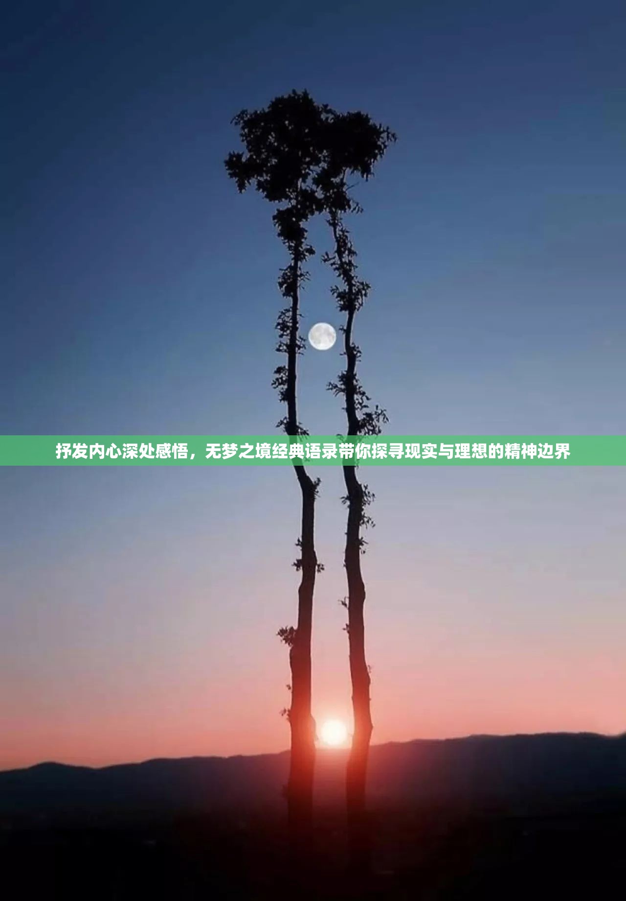 抒发内心深处感悟，无梦之境经典语录带你探寻现实与理想的精神边界