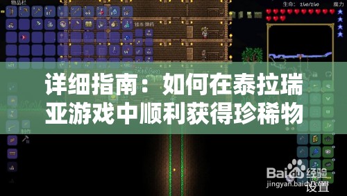 详细指南：如何在泰拉瑞亚游戏中顺利获得珍稀物品暗影之魂