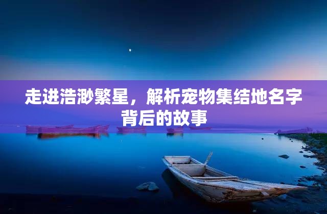 走进浩渺繁星，解析宠物集结地名字背后的故事