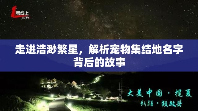走进浩渺繁星，解析宠物集结地名字背后的故事