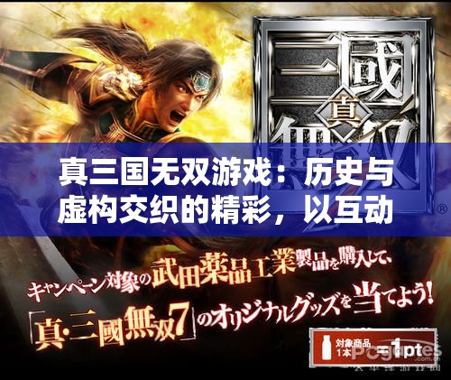 真三国无双游戏：历史与虚构交织的精彩，以互动体验探讨战争的真实与残酷