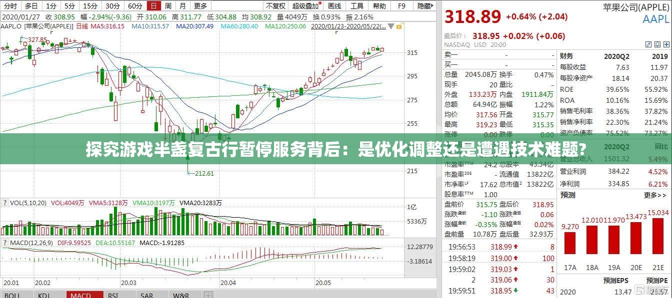 探究游戏半盏复古行暂停服务背后：是优化调整还是遭遇技术难题?
