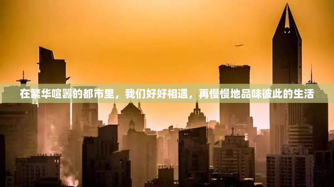 在繁华喧嚣的都市里，我们好好相遇，再慢慢地品味彼此的生活