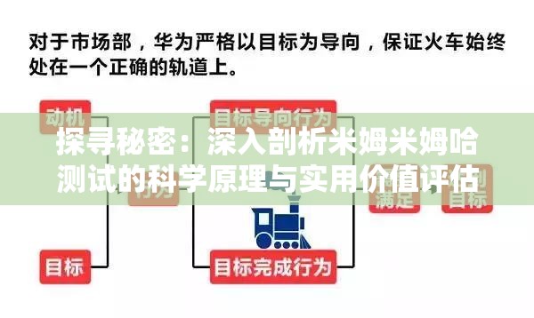 探寻秘密：深入剖析米姆米姆哈测试的科学原理与实用价值评估