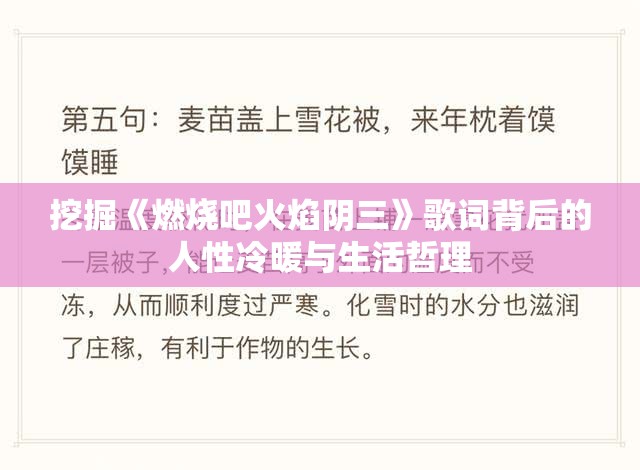 挖掘《燃烧吧火焰阴三》歌词背后的人性冷暖与生活哲理