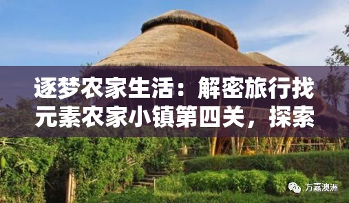 逐梦农家生活：解密旅行找元素农家小镇第四关，探索田园风情之美