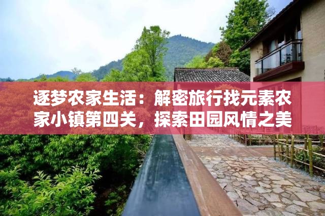 逐梦农家生活：解密旅行找元素农家小镇第四关，探索田园风情之美