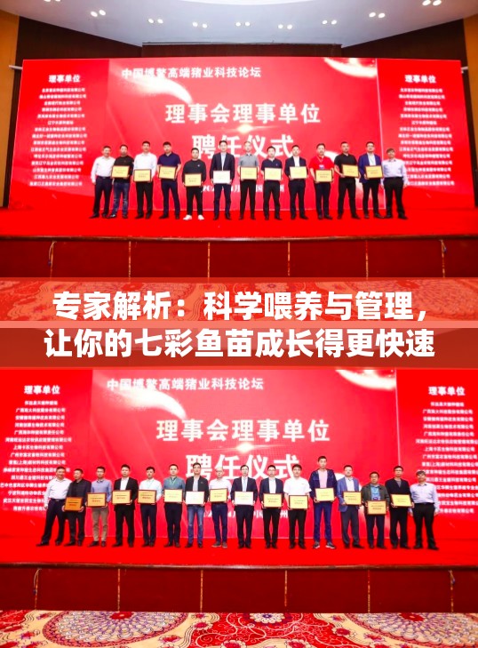 专家解析：科学喂养与管理，让你的七彩鱼苗成长得更快速、更健康