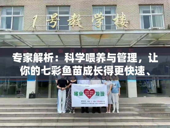 专家解析：科学喂养与管理，让你的七彩鱼苗成长得更快速、更健康
