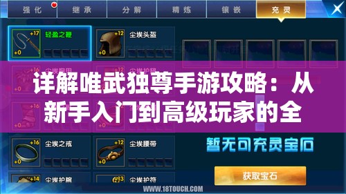 详解唯武独尊手游攻略：从新手入门到高级玩家的全流程技巧解析