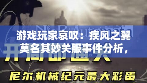 游戏玩家哀叹：疾风之翼莫名其妙关服事件分析，原因何在？