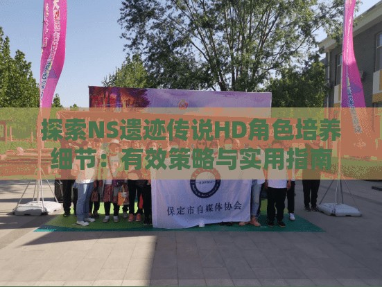 探索NS遗迹传说HD角色培养细节：有效策略与实用指南