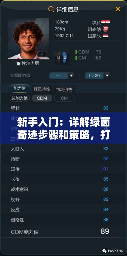 新手入门：详解绿茵奇迹步骤和策略，打造最佳足球队的终极新手攻略