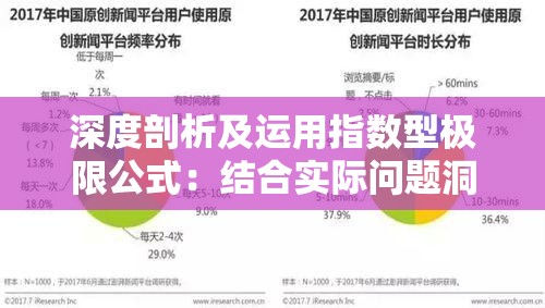 深度剖析及运用指数型极限公式：结合实际问题洞察无穷小数量级的奥秘