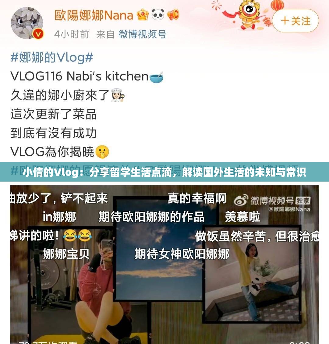 小倩的Vlog：分享留学生活点滴，解读国外生活的未知与常识