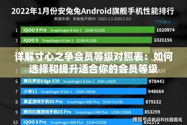 详解寸心之争会员等级对照表：如何选择和提升适合你的会员等级