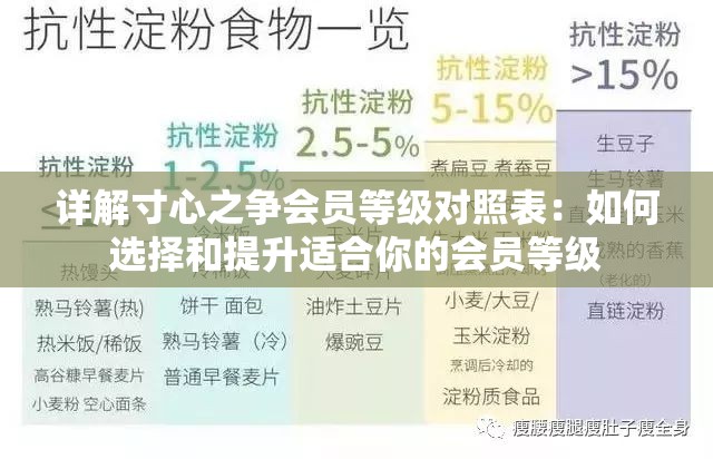 详解寸心之争会员等级对照表：如何选择和提升适合你的会员等级