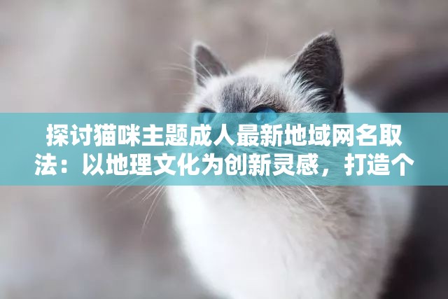 探讨猫咪主题成人最新地域网名取法：以地理文化为创新灵感，打造个性化网络身份标识