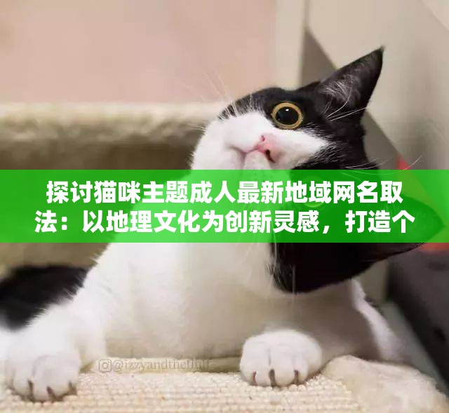 探讨猫咪主题成人最新地域网名取法：以地理文化为创新灵感，打造个性化网络身份标识