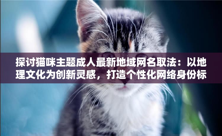 探讨猫咪主题成人最新地域网名取法：以地理文化为创新灵感，打造个性化网络身份标识
