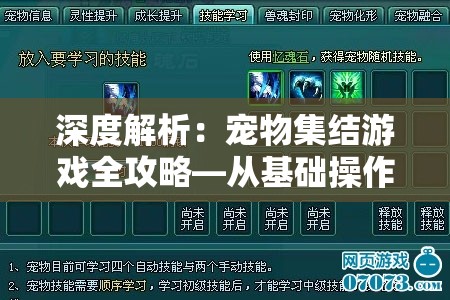深度解析：宠物集结游戏全攻略—从基础操作到高级策略，打造最强战斗阵容秘籍