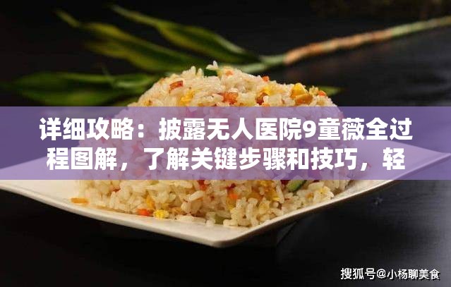 详细攻略：披露无人医院9童薇全过程图解，了解关键步骤和技巧，轻松解决难题