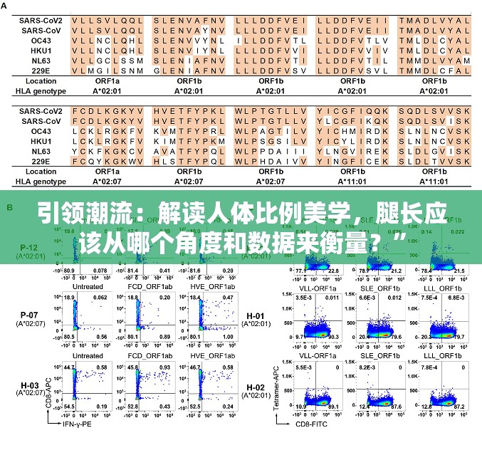 引领潮流：解读人体比例美学，腿长应该从哪个角度和数据来衡量？”