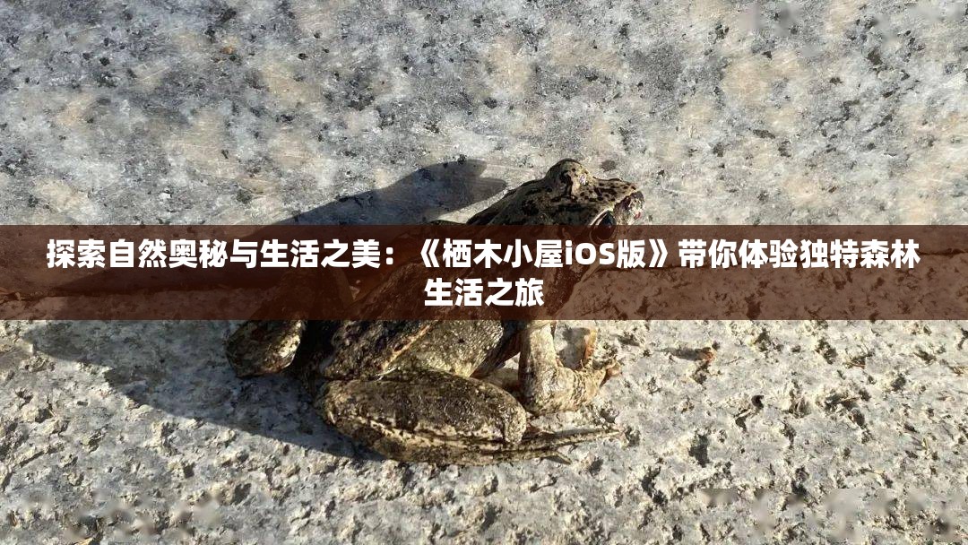 探索自然奥秘与生活之美：《栖木小屋iOS版》带你体验独特森林生活之旅