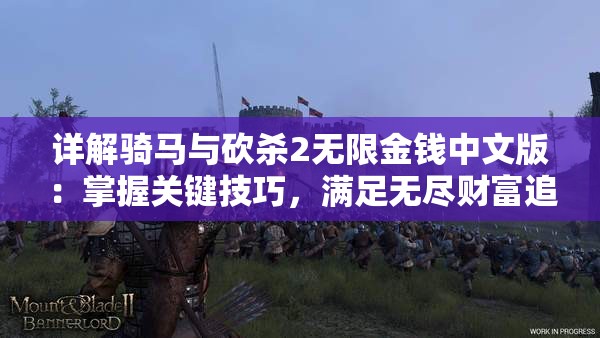 详解骑马与砍杀2无限金钱中文版：掌握关键技巧，满足无尽财富追求