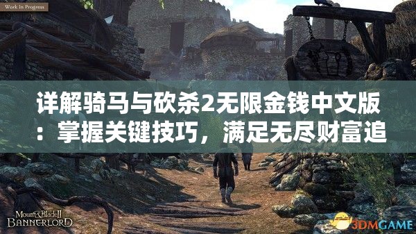 详解骑马与砍杀2无限金钱中文版：掌握关键技巧，满足无尽财富追求