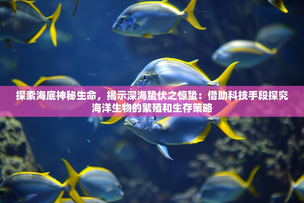 探索海底神秘生命，揭示深海蛰伏之惊蛰：借助科技手段探究海洋生物的繁殖和生存策略