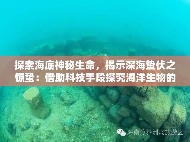 探索海底神秘生命，揭示深海蛰伏之惊蛰：借助科技手段探究海洋生物的繁殖和生存策略