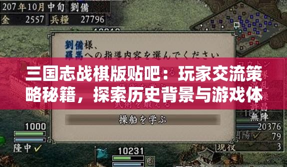三国志战棋版贴吧：玩家交流策略秘籍，探索历史背景与游戏体验之间的完美融合