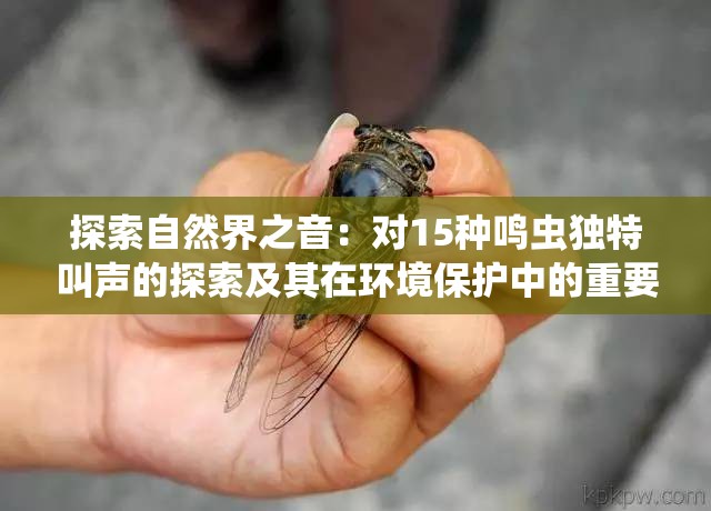 探索自然界之音：对15种鸣虫独特叫声的探索及其在环境保护中的重要性