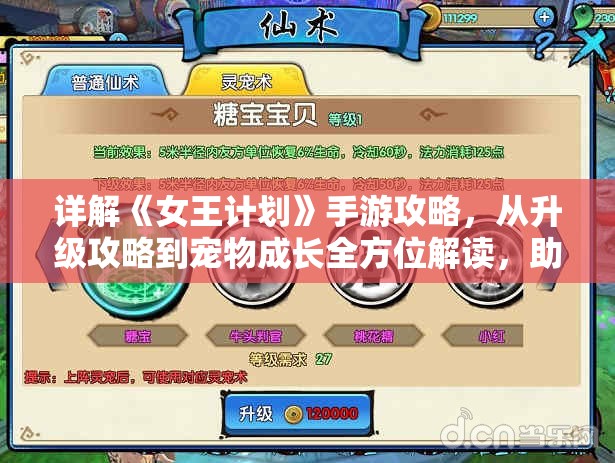 详解《女王计划》手游攻略，从升级攻略到宠物成长全方位解读，助您驾驭女王之路