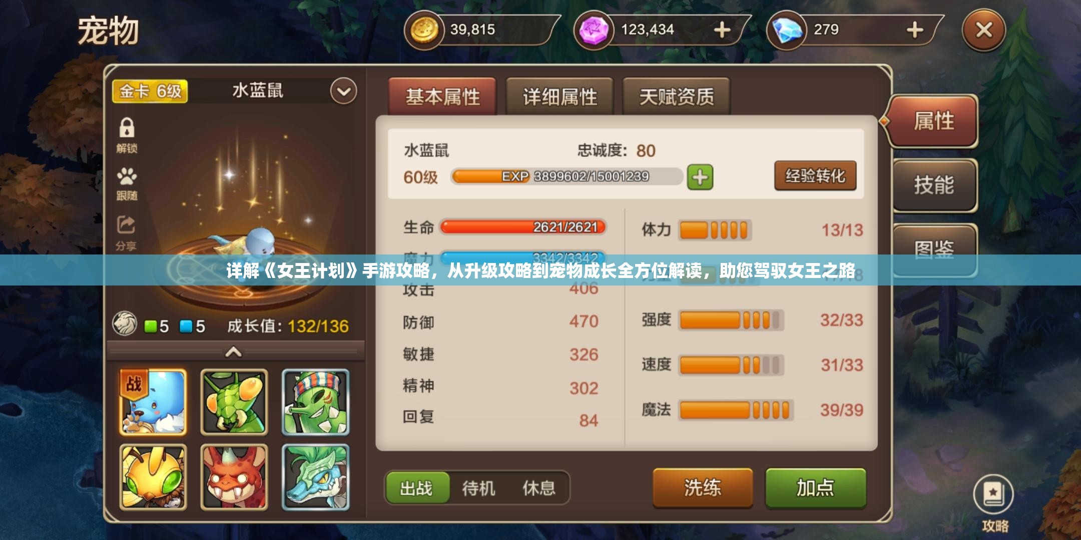 详解《女王计划》手游攻略，从升级攻略到宠物成长全方位解读，助您驾驭女王之路