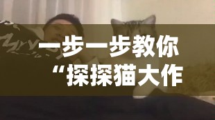 一步一步教你“探探猫大作战”战胜对方的全盘策略攻略，赢在细节的必杀技揭秘