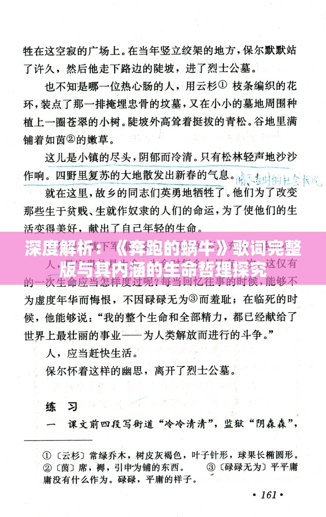 深度解析：《奔跑的蜗牛》歌词完整版与其内涵的生命哲理探究