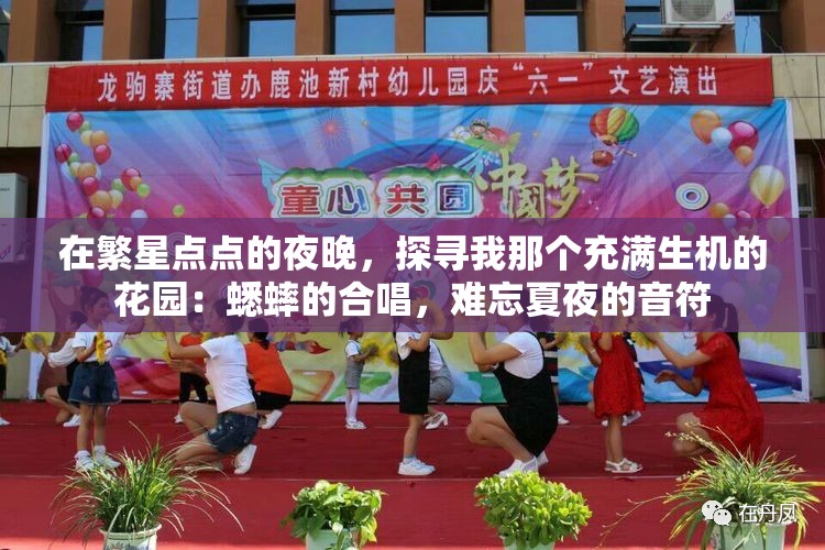 在繁星点点的夜晚，探寻我那个充满生机的花园：蟋蟀的合唱，难忘夏夜的音符
