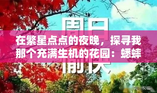 在繁星点点的夜晚，探寻我那个充满生机的花园：蟋蟀的合唱，难忘夏夜的音符