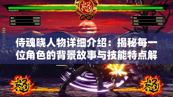 侍魂晓人物详细介绍：揭秘每一位角色的背景故事与技能特点解析