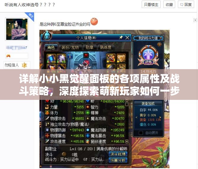 详解小小黑觉醒面板的各项属性及战斗策略，深度探索萌新玩家如何一步步提升实力