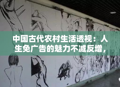 中国古代农村生活透视：人生免广告的魅力不减反增，如何塑造纯朴世界观的深度解析