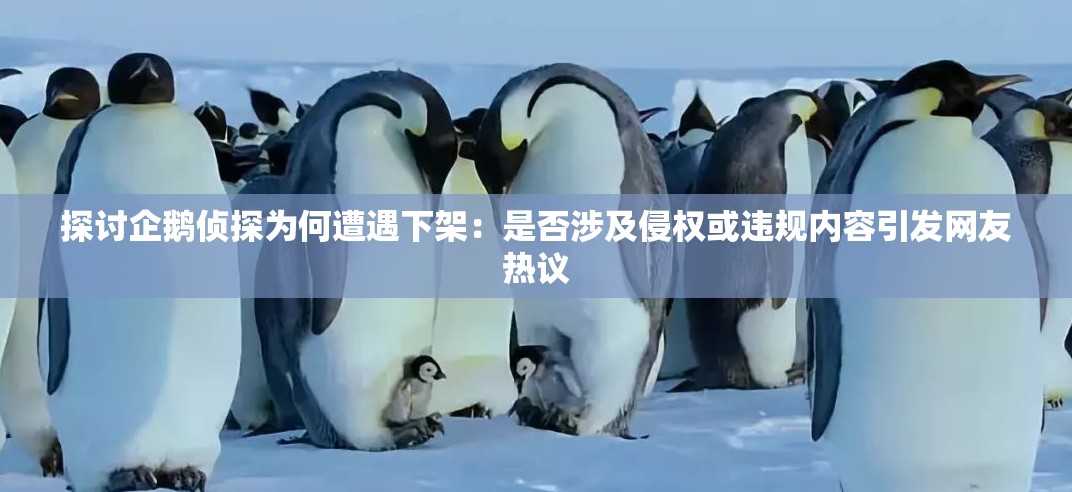 探讨企鹅侦探为何遭遇下架：是否涉及侵权或违规内容引发网友热议