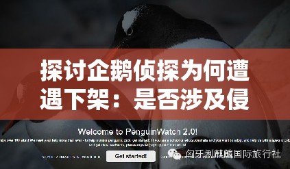 探讨企鹅侦探为何遭遇下架：是否涉及侵权或违规内容引发网友热议
