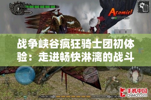 战争峡谷疯狂骑士团初体验：走进畅快淋漓的战斗疆场，详解如何游玩与策略技巧