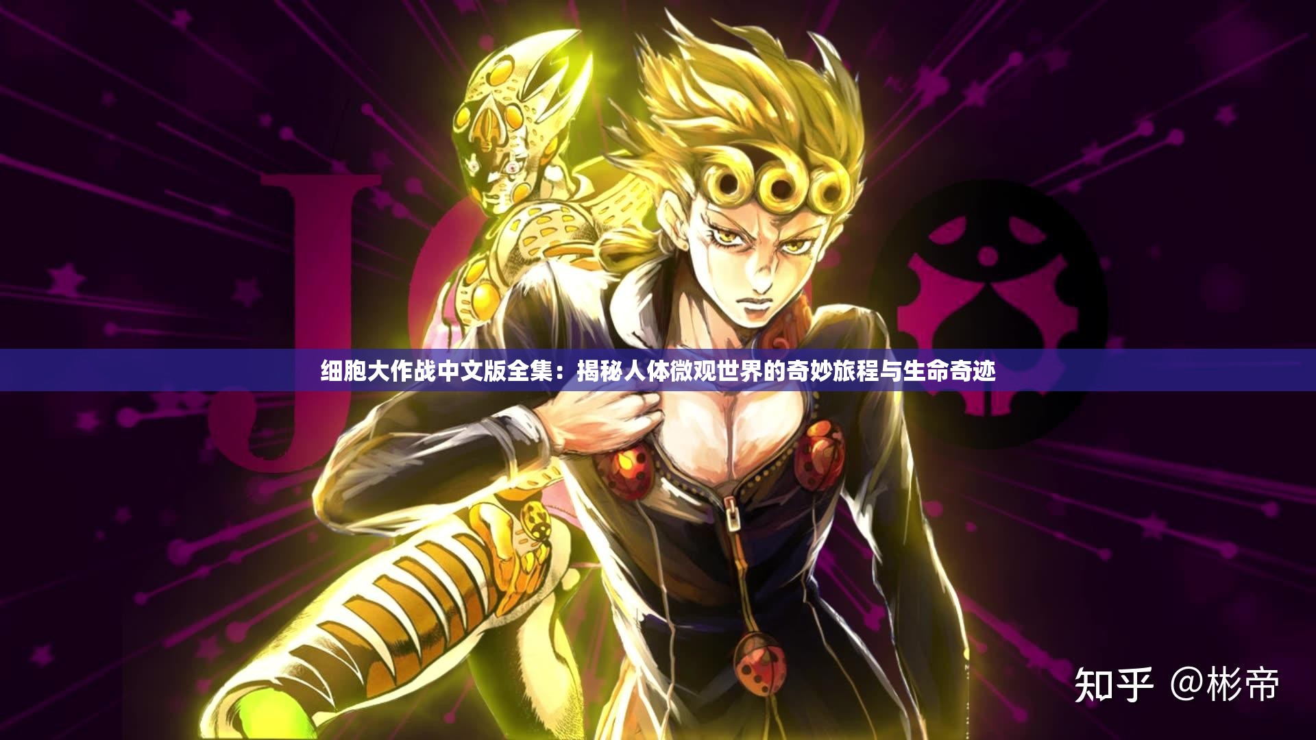 细胞大作战中文版全集：揭秘人体微观世界的奇妙旅程与生命奇迹