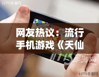 网友热议：流行手机游戏《天仙月》突然下架，引发玩家疑惑和不满